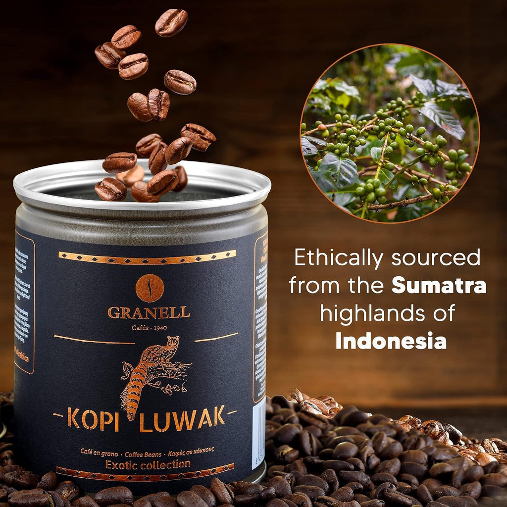 Kopi Luwak Coffee Beans, Premium Civet Coffee Luwak Whole Bean, Black Ivory Rich Bold Aroma, from Indonesia, Ultra Smooth Finish, Cafés Granell 100G - Haynesworld General Goods