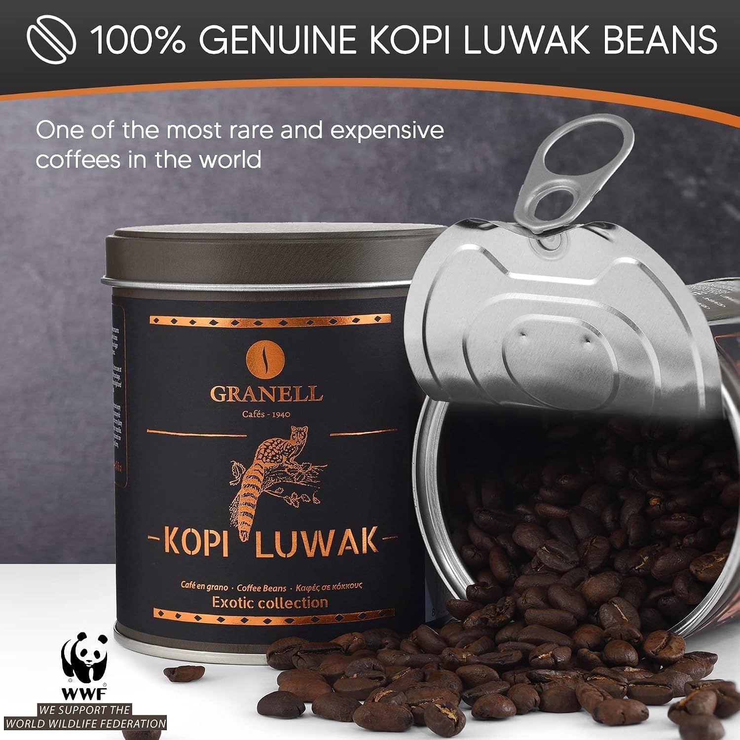 Kopi Luwak Coffee Beans, Premium Civet Coffee Luwak Whole Bean, Black Ivory Rich Bold Aroma, from Indonesia, Ultra Smooth Finish, Cafés Granell 100G - Haynesworld General Goods