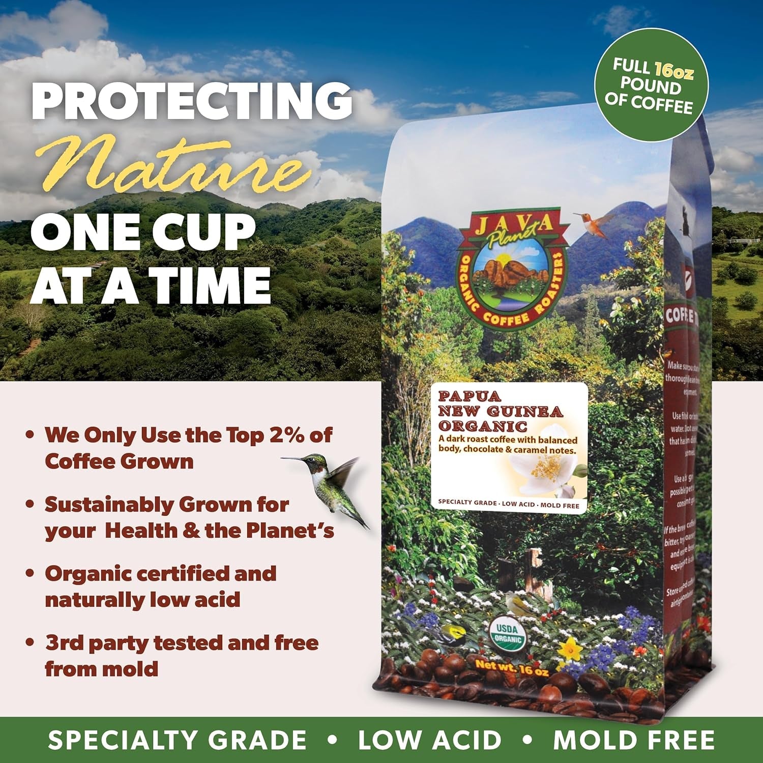 Low Acid Organic Coffee – Whole Bean, Mold-Free & Stomach Friendly by , Papua New Guinea Single Origin Coffee 1LB Bag - Haynesworld General Goods