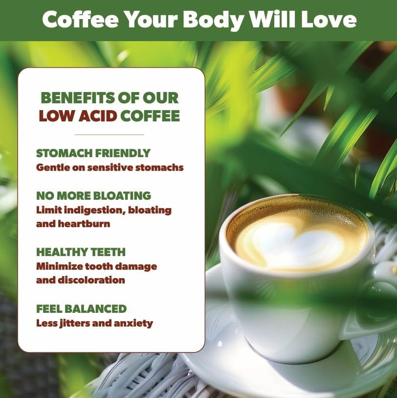 Low Acid Organic Coffee – Whole Bean, Mold-Free & Stomach Friendly by , Papua New Guinea Single Origin Coffee 1LB Bag - Haynesworld General Goods