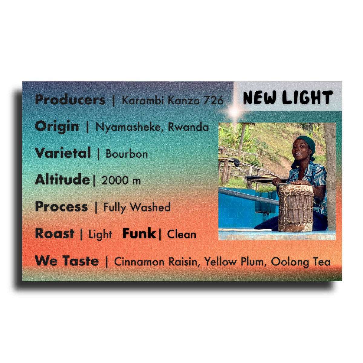 New Light – Rwanda Kanzu 726 Washed Coffee (Karambi, Nyamasheke | Whole Bean or French Press | ½LB–5LB) - Shop Coffee Hobby