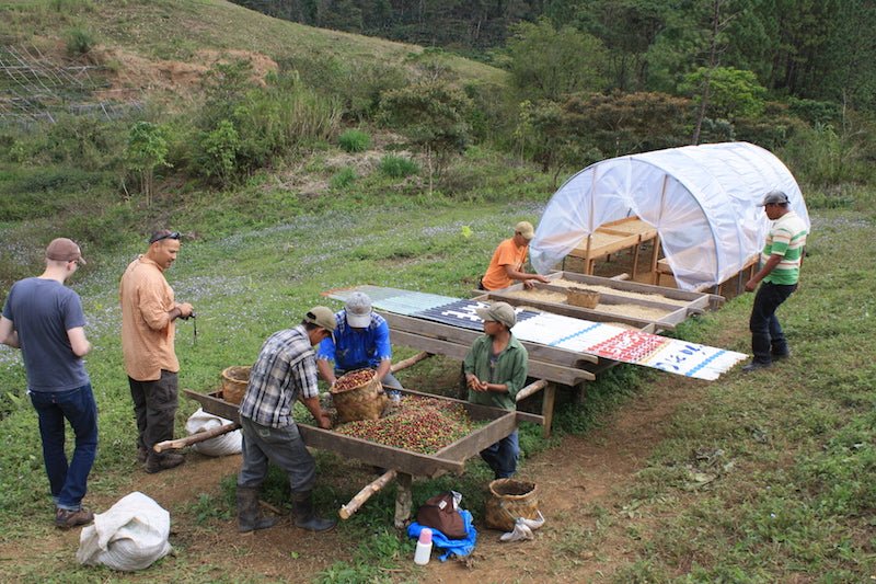 Nicaragua - Finca San Jose de las Nubes - Washed Process - Shop Coffee Hobby
