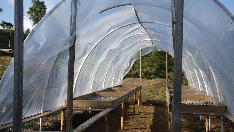 Nicaragua - Finca San Jose de las Nubes - Washed Process - Shop Coffee Hobby