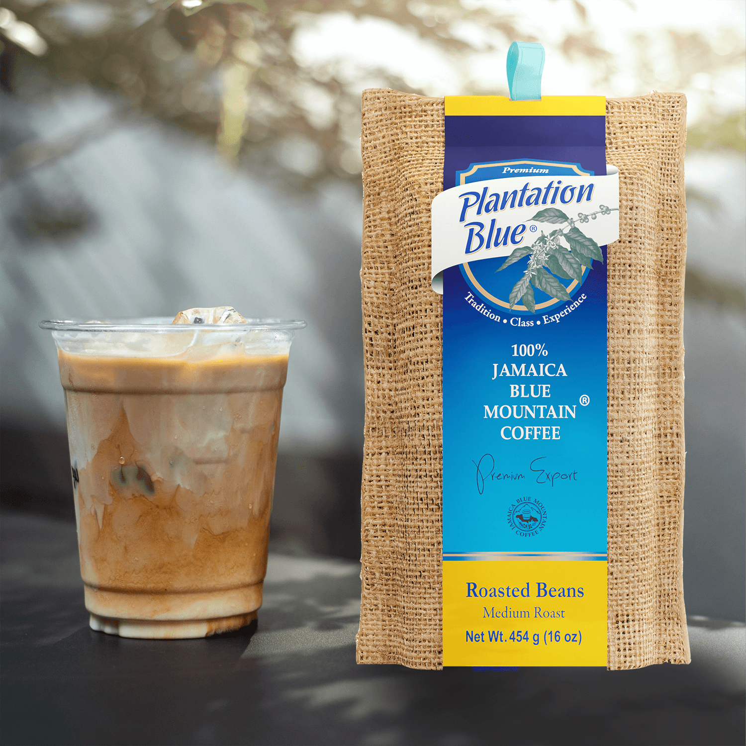 Plantation Blue 100% Jamaica Blue Mountain Premium Coffee (16 oz - medium roasted whole beans) - Haynesworld General Goods