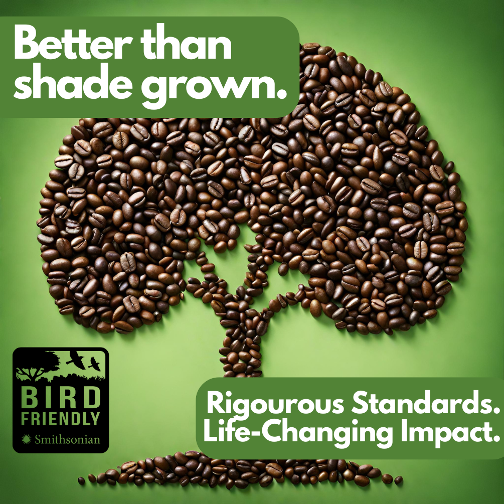 Tomorrow's Coffee Guatemalan Organic Single-Origin Coffee beans in a resealable bag.