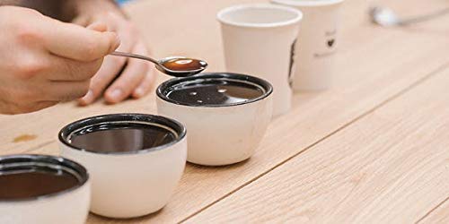 Specialty Coffee Association (SCA) Compliant - Coffee Cupping Spoon - Set of 4 Spoons - Shop Coffee Hobby