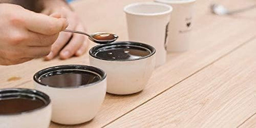 Specialty Coffee Association (SCA) Professional Coffee Cupping Spoon - Stainless Steel (4 Spoons) - Shop Coffee Hobby