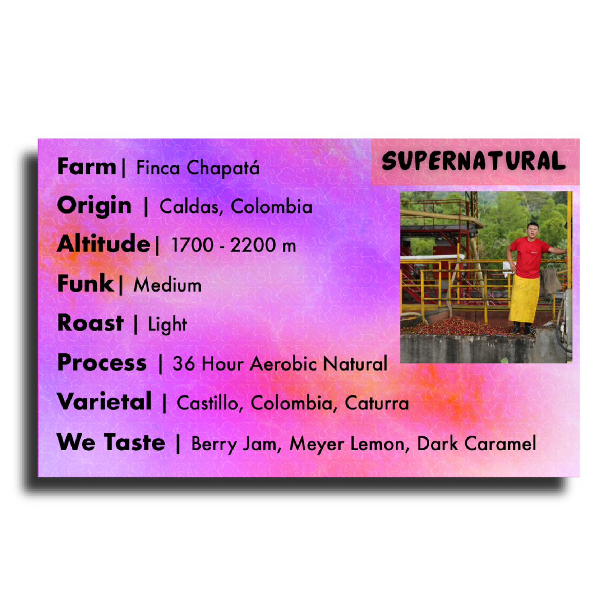 Supernatural – Colombian Washed Coffee from Anserma Cooperative (Whole Bean or Drip | ½LB–5LB) - Shop Coffee Hobby
