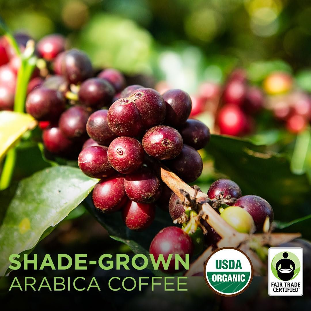 Tiny Footprint Coffee - Organic Signature Blend Light Roast - Whole Bean Coffee, USDA Organic & Carbon Negative - Haynesworld General Goods