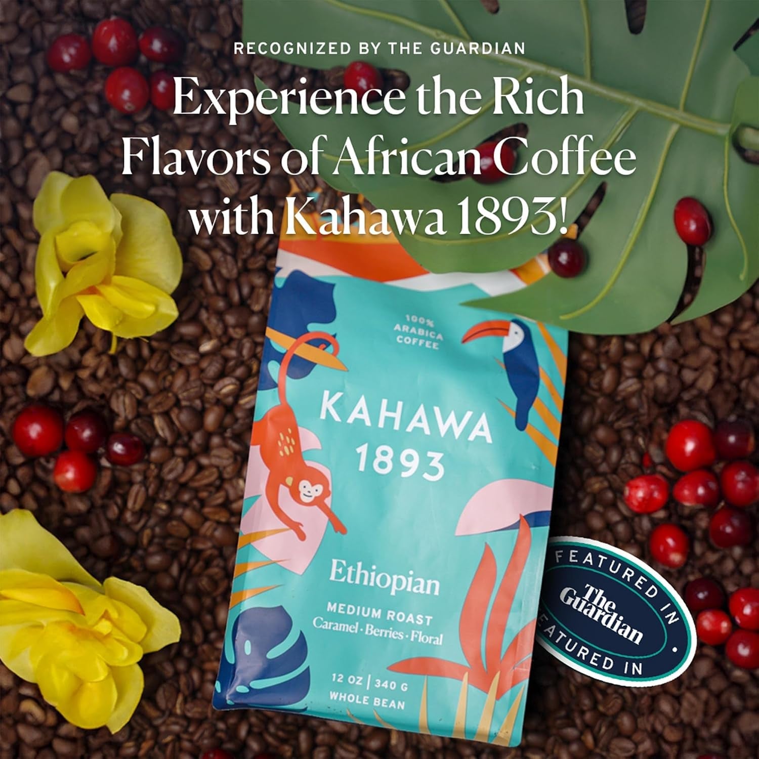 Whole Bean Coffee Medium Light Roast Ethiopian Blend 12 Oz - as Seen on Shark Tank, High Antioxidants, Naturally Sweet, Organically Grown, Ethically & Sustainably Sourced - Haynesworld General Goods